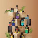 케어셀라 지쿱 이미지