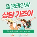 영태양광1호 네이버블로그