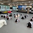 점프태권도장 | 프로페셔널한 교육, 전문적인 태권도장 : 점프스쿨 경희대부부태권도