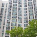 신호 윌더하임 이미지