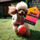 시청정약국 이미지