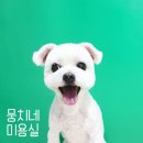 뭉치네 미용실 이미지