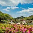 충남 태안 여행 코스 5곳 바다 해안길 포함 만리포 가볼만한곳 이미지