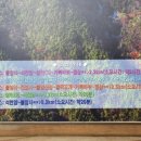 태릉왕갈비
