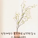 큐사랑미용실 - 광양시 | 큐사랑미용실