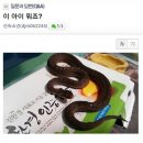 한국에서 일어난 살모사 택배 테러 사건 이미지