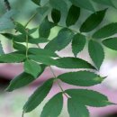 수철농장 이미지