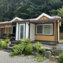 고로쇠펜션 | [홍천] 계곡 앞 애견동반숙소 "고로쇠펜션"