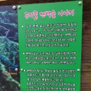 [전주/완주 여행] 상관 편백나무 숲(영화 '최종병기 활' 촬영지)..........47 이미지