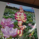 니가타 조에쓰3 - 벚꽃이 만개한 다카다성과 해자를 구경하다! 이미지