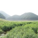 늘푸른낚시 이미지