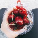 미토차(MITOCHA) 이미지