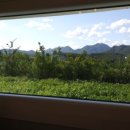 햄릿과 올리브 이미지