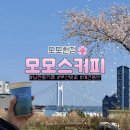 비원도서관 본관마당 | 부산 남천동 벚꽃명소, 도모헌 모모스커피 평일 봄 나들이 무료주차 정보