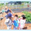 원빈농장 이미지