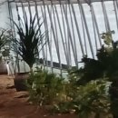 신흥농장2 이미지