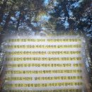 니체 | 니체의 초월자 책 | 프리드리히 니체 책 후기 | 돈 놓고 돈 벌어도 마음이 가난한 이유 추천 리뷰 핵심...