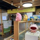 거북명태 | 송촌동 맛집, 생선명가 거북명태 추천 메뉴 매콤 명태조림 후기