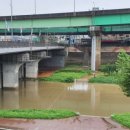 도림천 산책로4 이미지