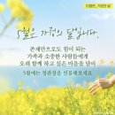 정관장노대점
