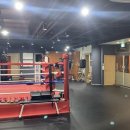 분당복싱체육관 이미지