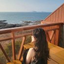 소원펜션 | 부안 소원펜션 내돈내산 솔직후기