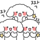 돌티미식당 이미지