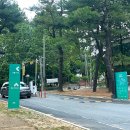 무궁화커피피었습니다 | 수원 상상캠퍼스 텐트 가능할까? 직접 다녀온 피크닉 후기