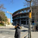 TOUR GOLFZONE 실내스크린 | 바르셀로나 FC 캄프누 투어 일정 예약 및 박물관 후기