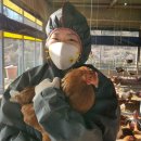 고림농장 이미지