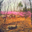 카타나 펜션 이미지