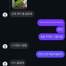 세환쇼핑 | 띵동! 2026년 입니다 ~🪄