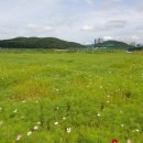 원등공원 이미지