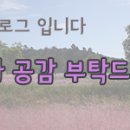 닥터슈즈운동화빨래방 이미지