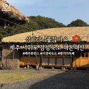 동막자연횟집민박 | [제주도] 동쪽 감성 숙소 '섬이라니좋잖아요' 내돈내산 숙박후기 제주 촌캉스 민박