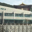 푸른숲유치원 | 해운대 더 푸른 유치원, 에밀의 숲 방문상담 후 등록후기