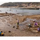 지족갯마을 이미지