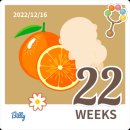 이삭도우미 | 12/14~12/20
