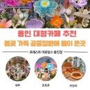 1-4 공중화장실 | 포레스트아웃팅스 용인점 후기｜용인대형카페에서 즐기는 공중정원 데이트