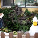 소라 유치원 이미지