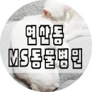MS동물병원 이미지