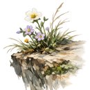 ㈜참신 | 너머에 있을 마음을 울리는 상상 > 왕과 사는 남자(2026) 후기 + 쿠키 없음 + 용산 2월 11일 GV 현장...