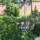 순천고등학교 이미지