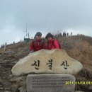 양산신-2011 이미지