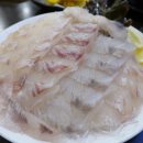 쌍마막회 | 마포역 횟집 레알 동네 맛집 쌍마막회