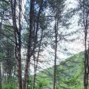 워터힐링 이미지