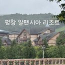 평창일송정 | 평창 알펜시아 리조트 디럭스 스위트 업그레이드 숙박 후기