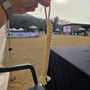 조이도그 | [강아지숲] 강아지숲 도그페스타 뒤늦은 후기