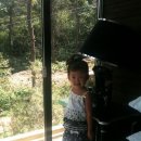 서율이네 이미지