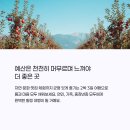 무한천농장 네이버블로그